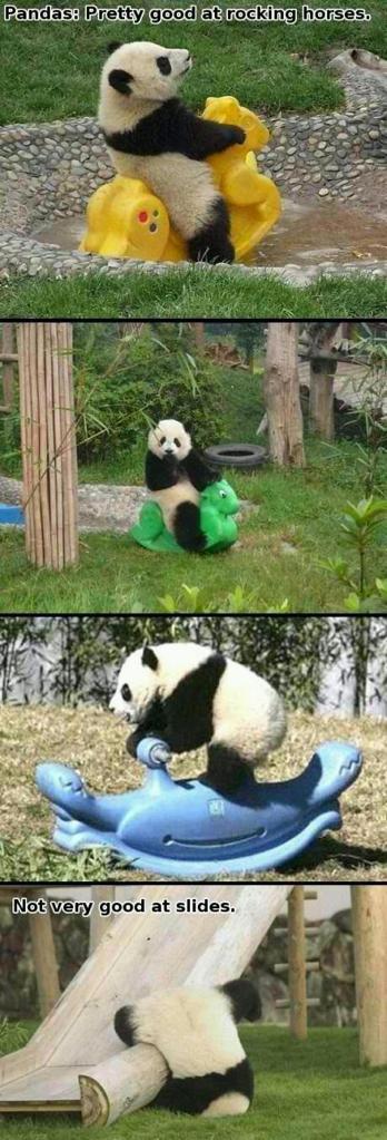 Pandas are pretty good at rocking horses.