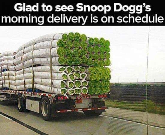 Glad to see Snoop Dogg's morning delivery is on shedule