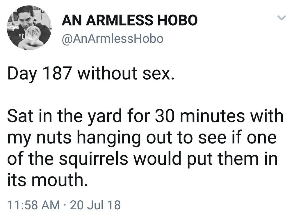 The squirrel takes the nut, then the squirrel gets the nut