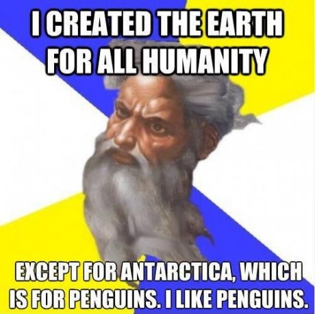 God loves penguins