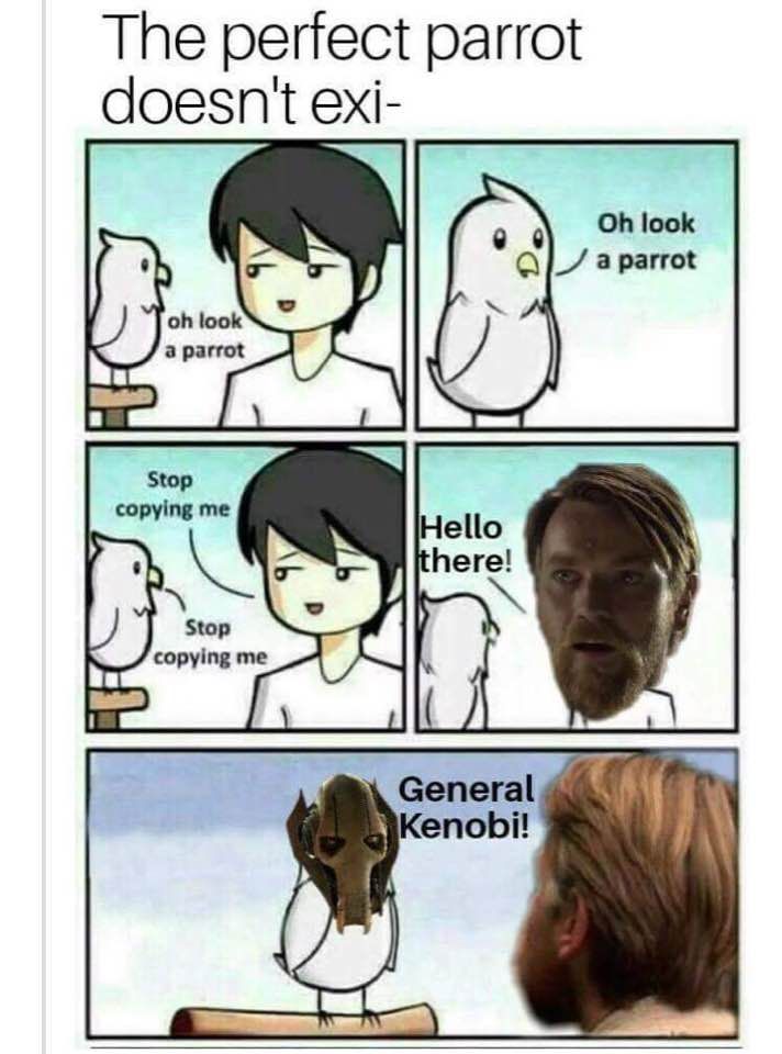Oh look a parrot