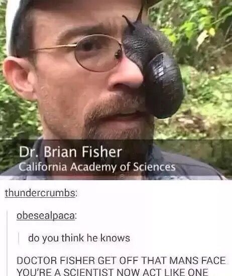 Dr Fisher
