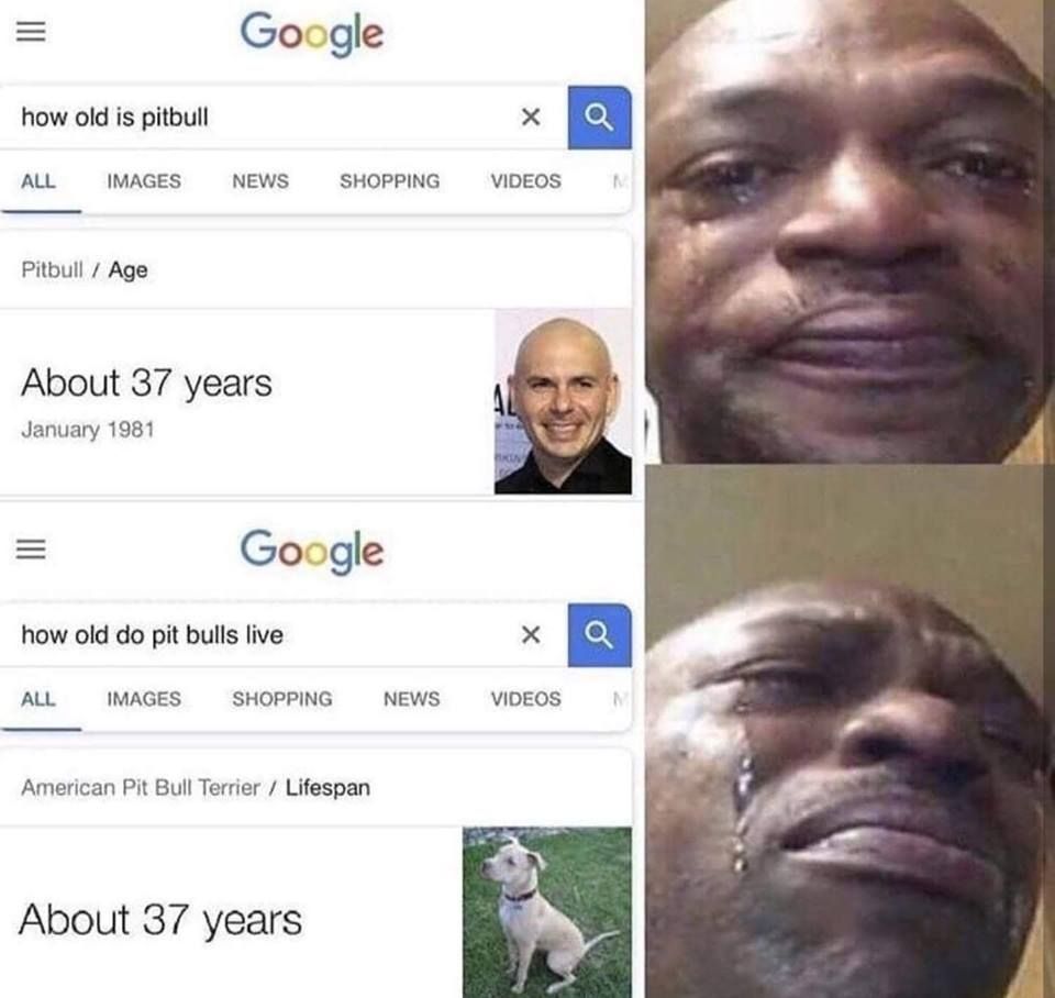 Mr worldwide will soon be mr ripwide