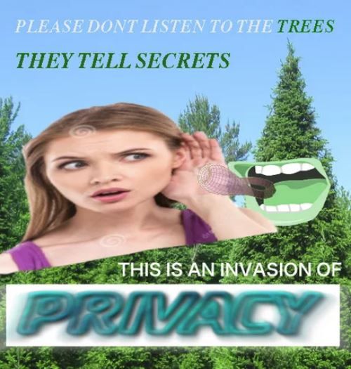 Burn them