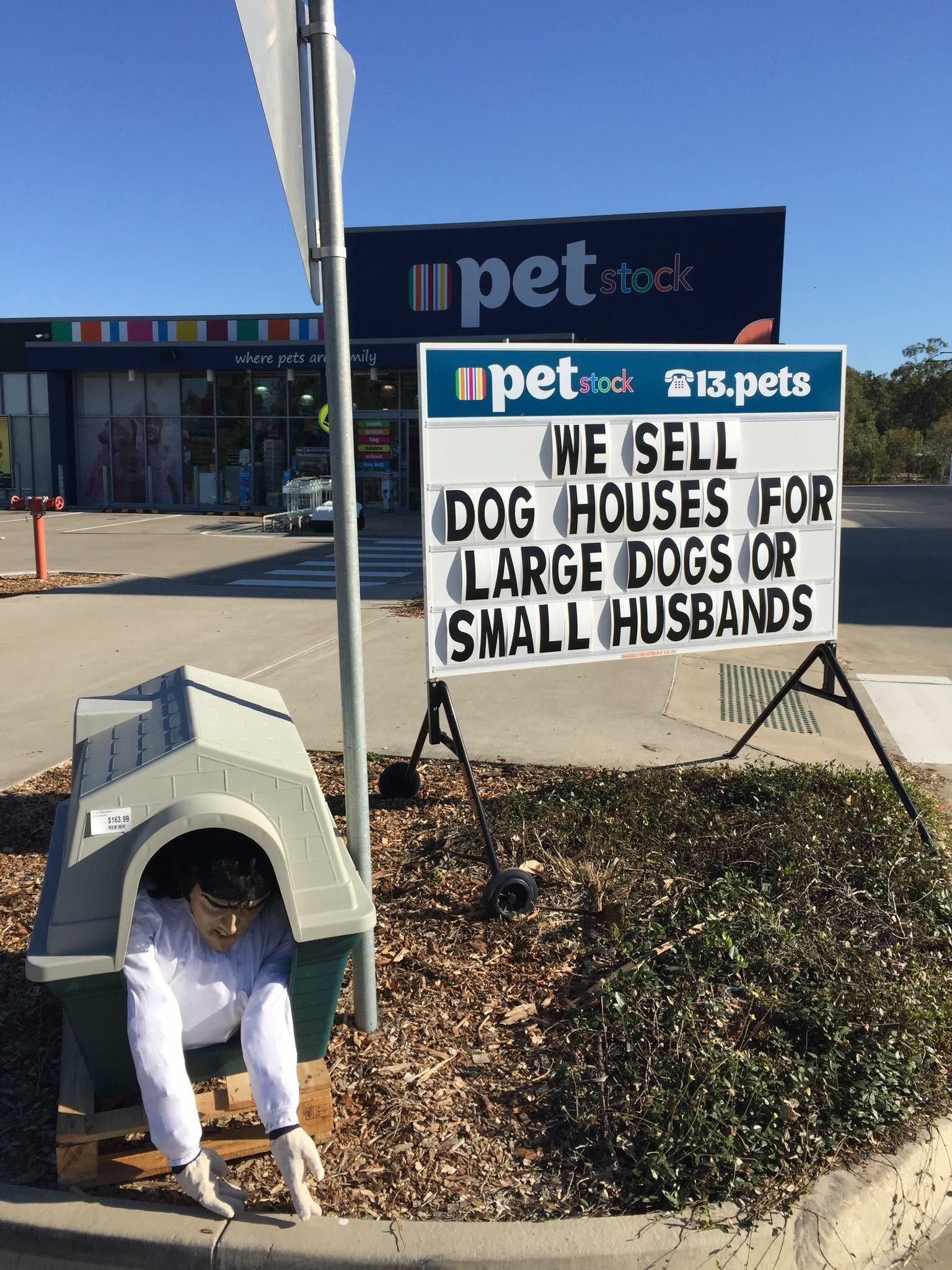 Local pet store advertising