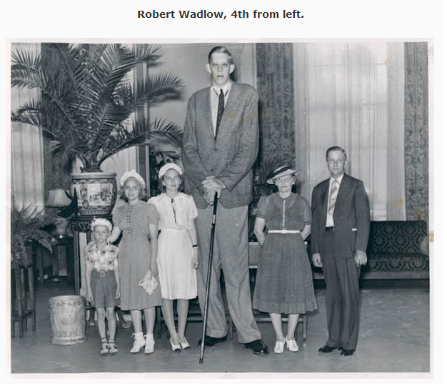 I was reading an article about Robert Wadlow, the tallest man to have ever lived, when they showed this picture. It made me crack up.