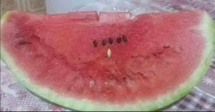 Melon