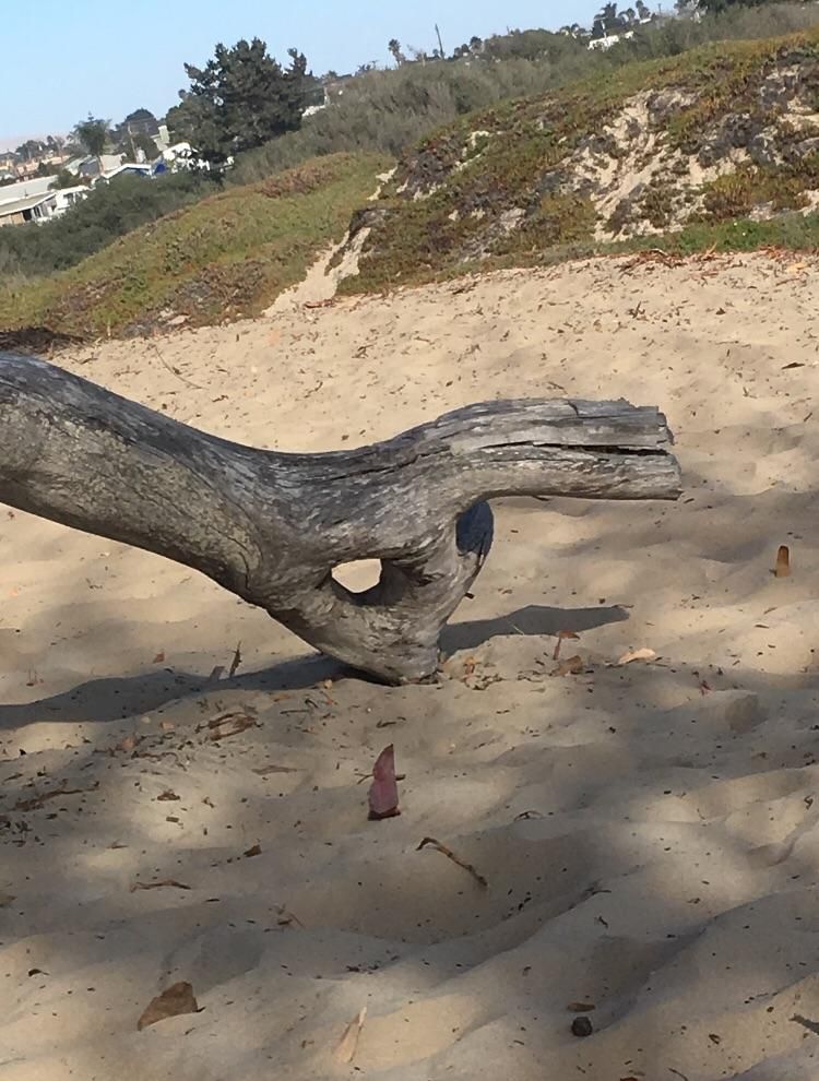 Nature can be so gorgeous sometimes.