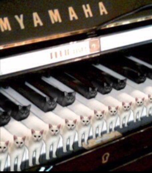 Keyboard cat remake