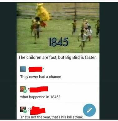 Big birds destruction
