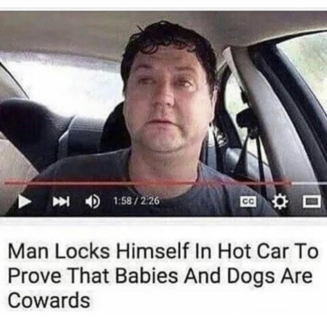 Babies & dogs = cowards