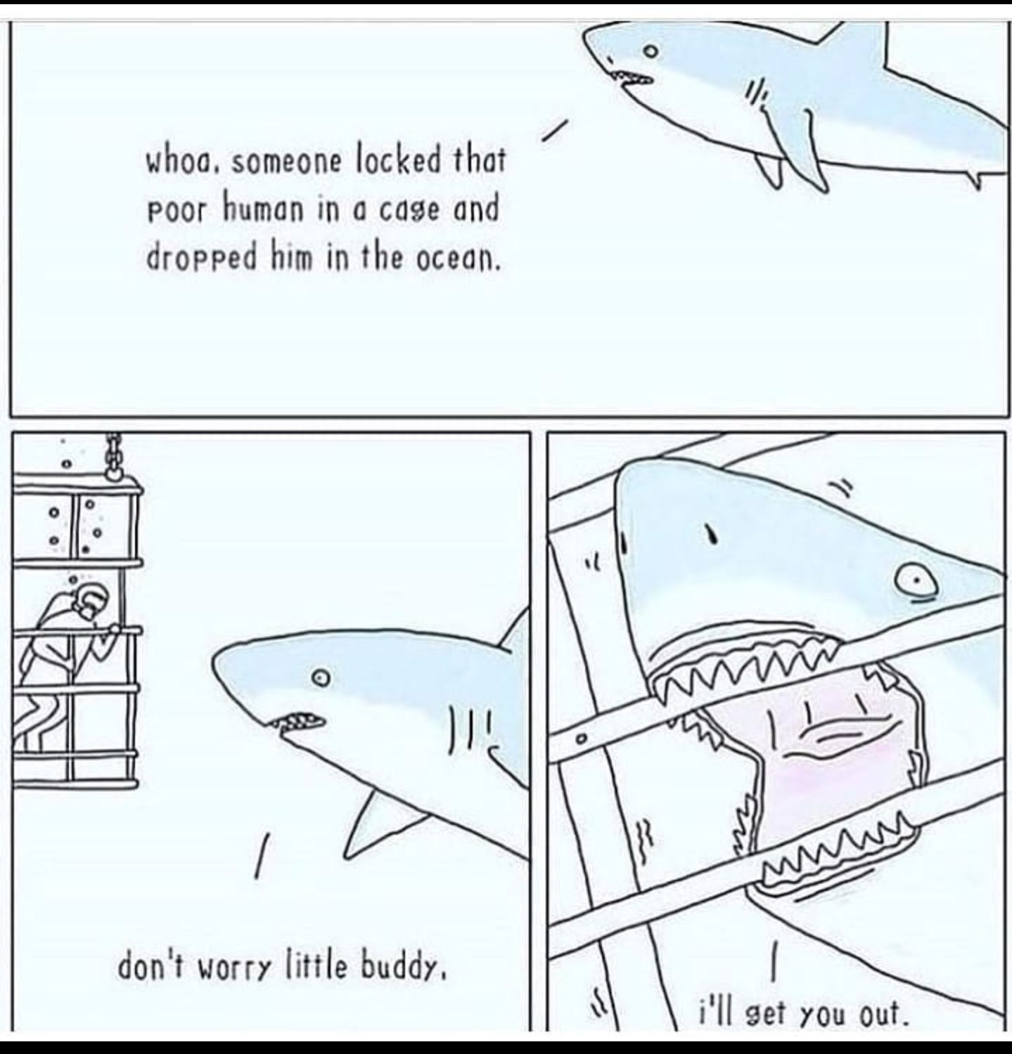Rescue shark.