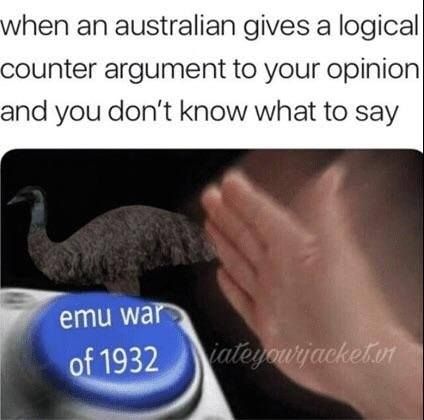 >losing a war to birbs