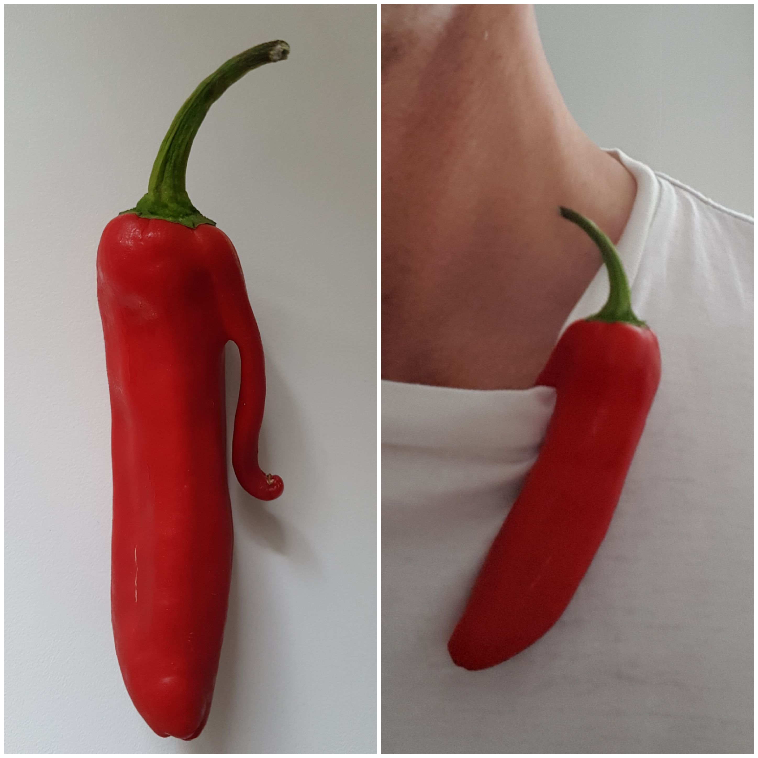 My chilli came with a handy clip so that it can be worn with elegance.