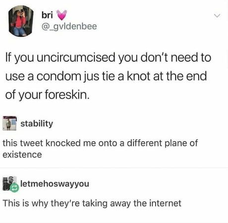 Pee is stored between the knot and the penis head