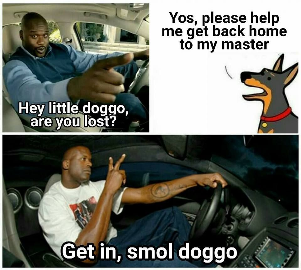 Saga of Doggo Borkington part 10