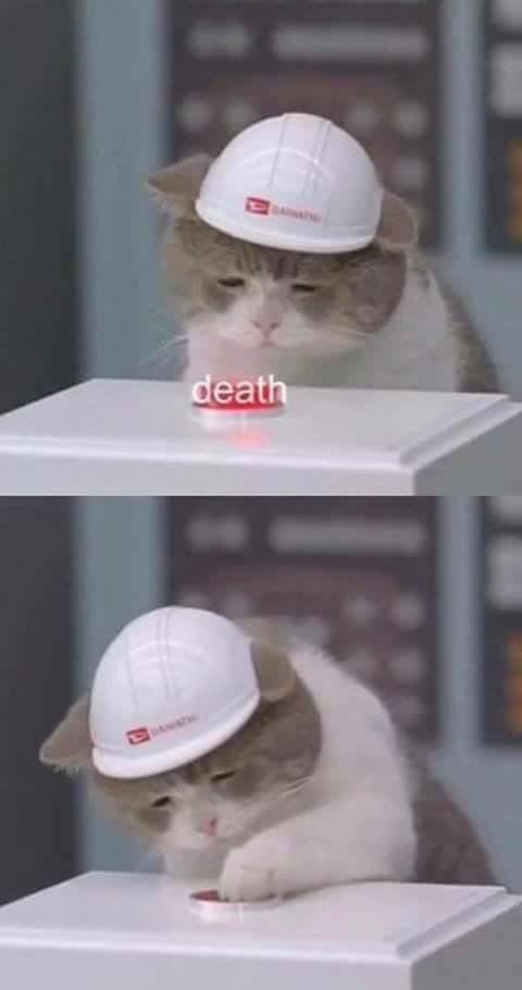 Not wholesome