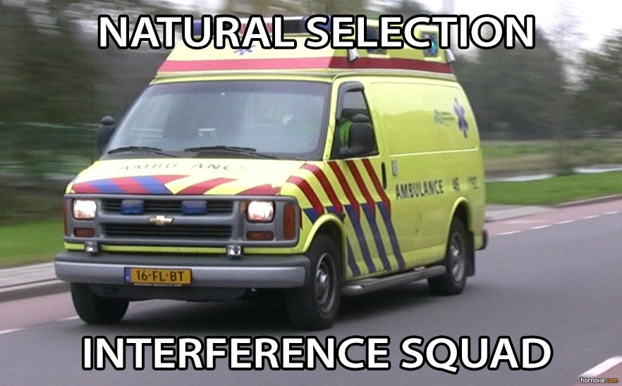 Natural Selection Interference Squad
