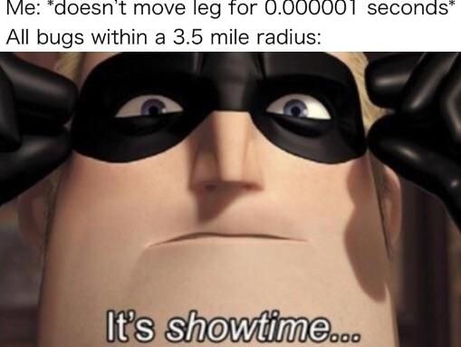 Ow oof my legs
