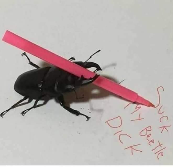 AYO!