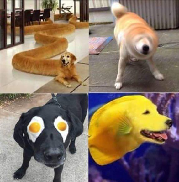 One will protect you the others will try to kill you. Choose wisely