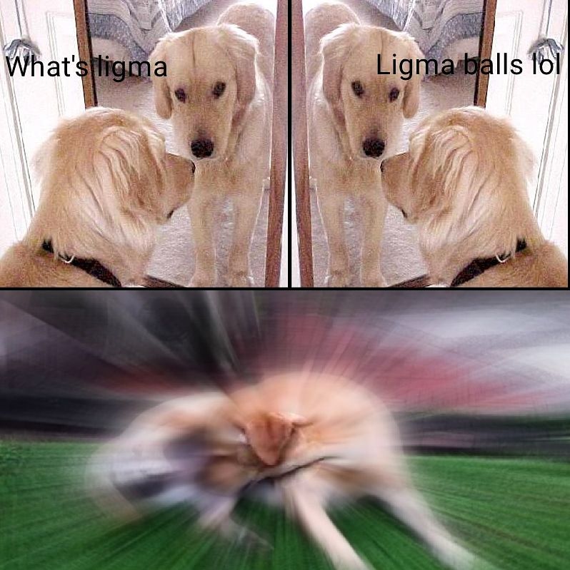 Ligma
