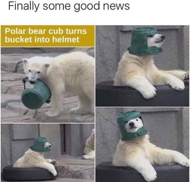 Wholesome
