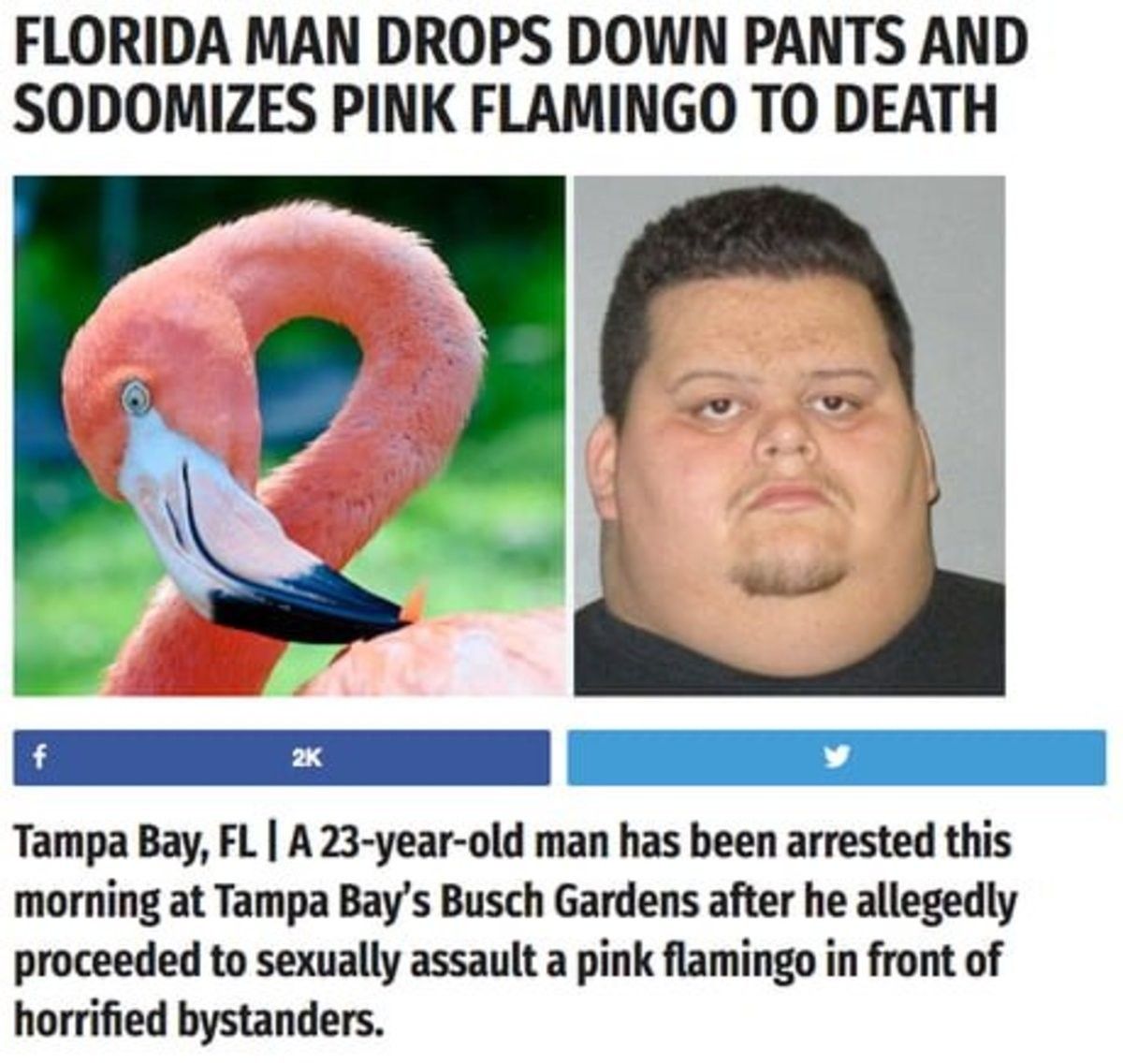 Ah yes, the adventures of Florida man continues.