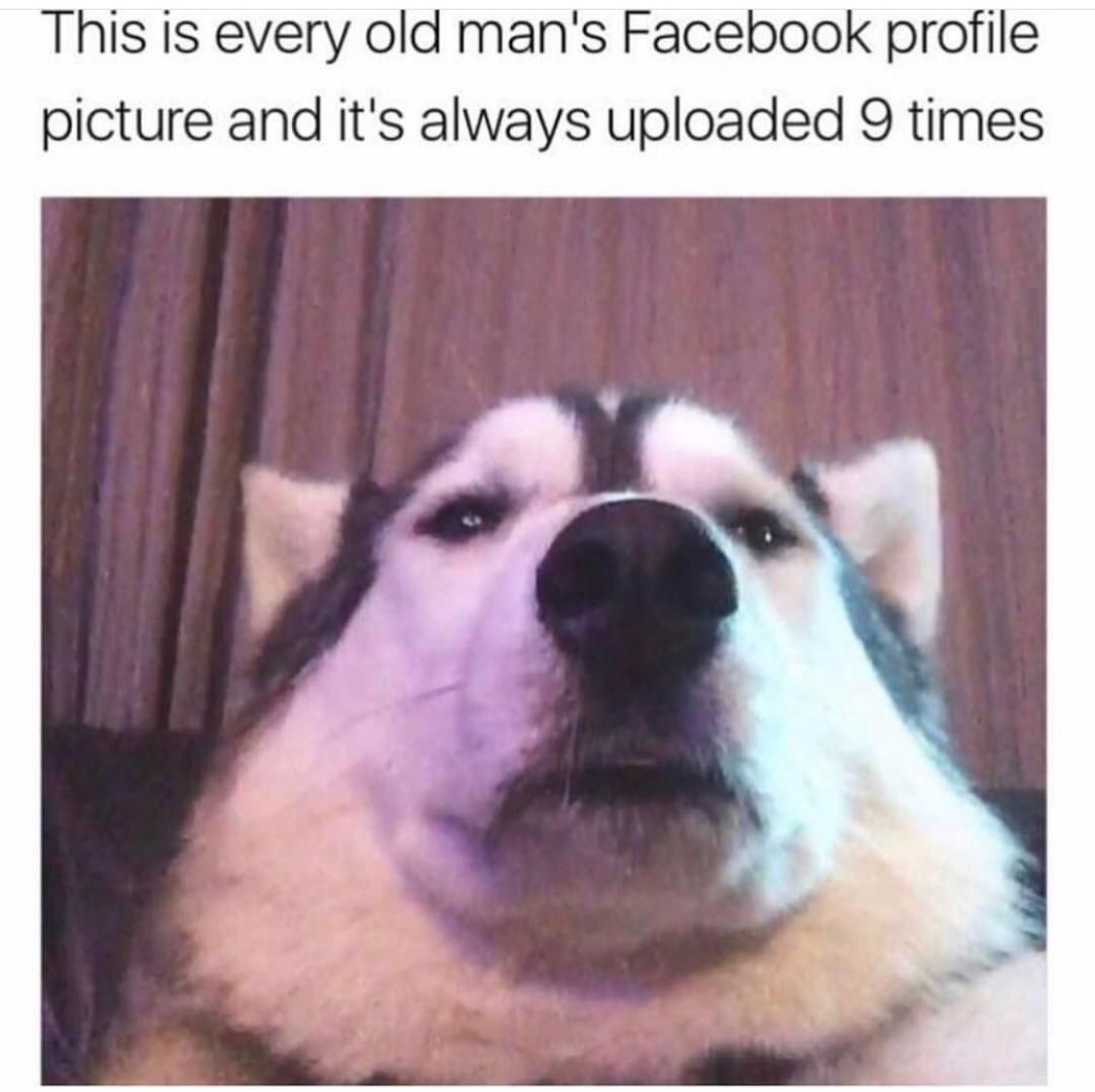 Exactly nine