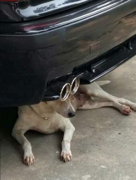 turbo vision activated
