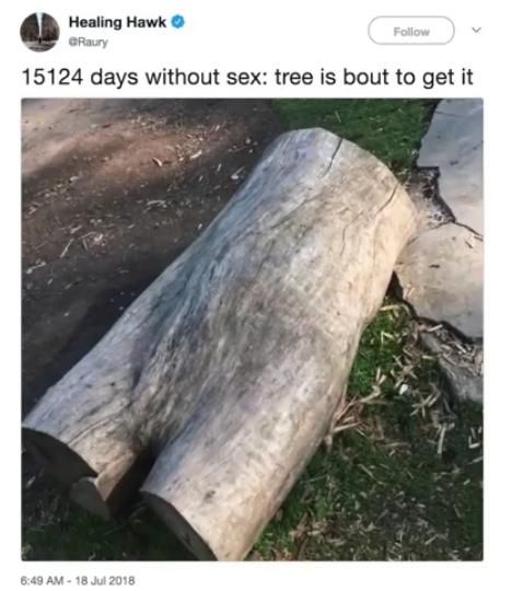 >When wood gives you wood