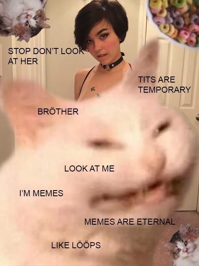 Downudder is right