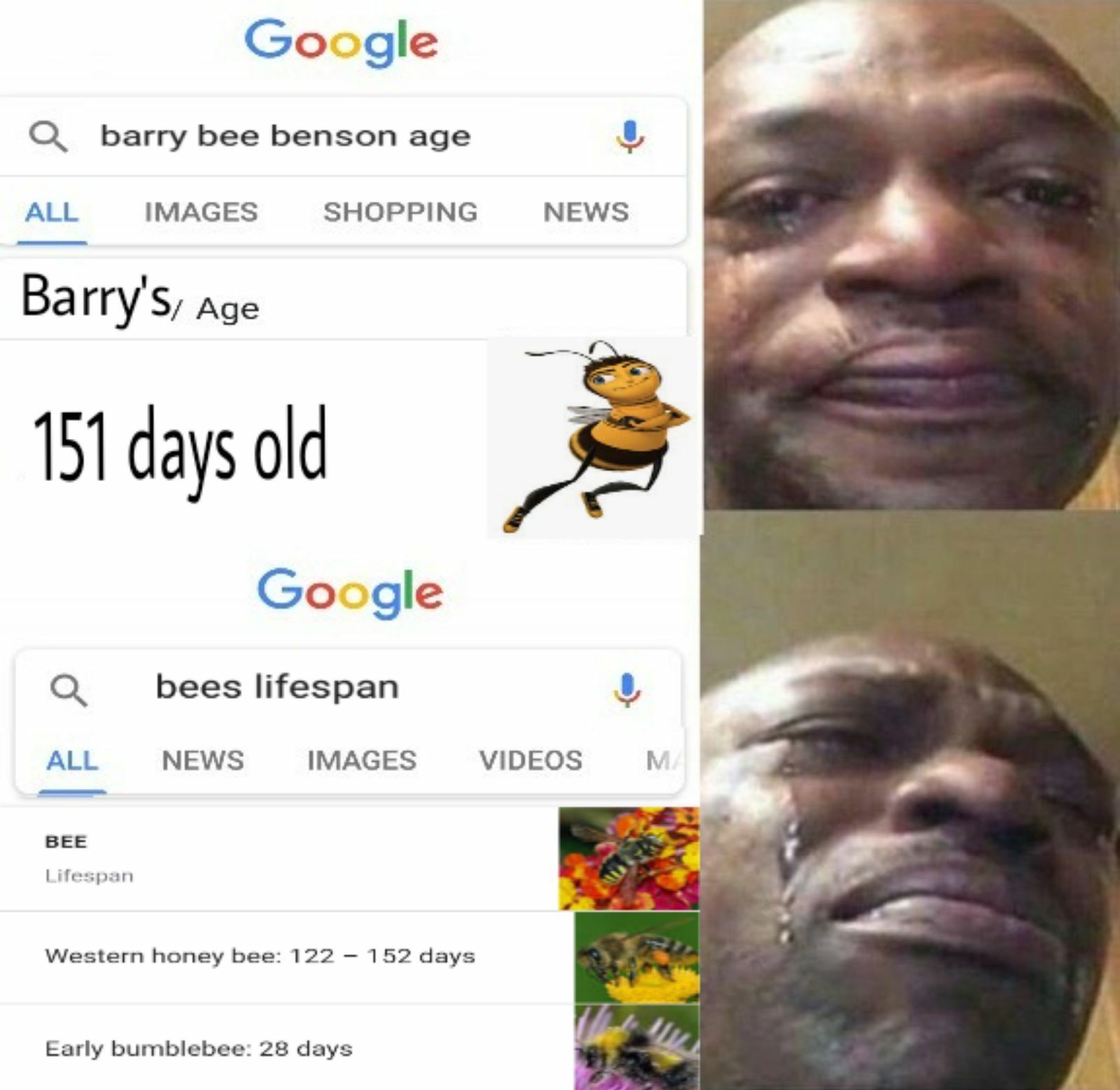 It's ok to bee sad sometimes