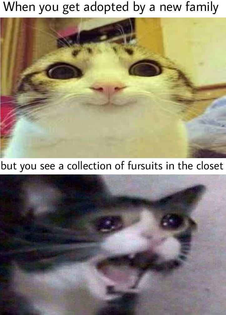 Do you think there are any animals that wear human fursuits?