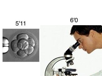 how we see manlets