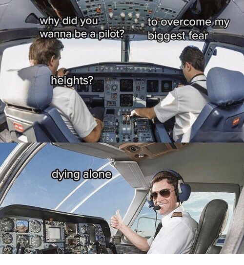 Why did you become a pilot?