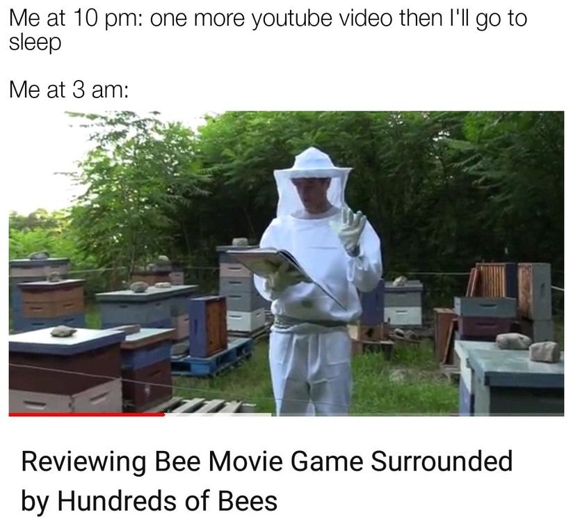 Bees