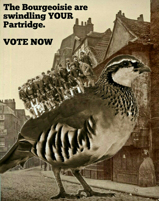 Protect the partridges