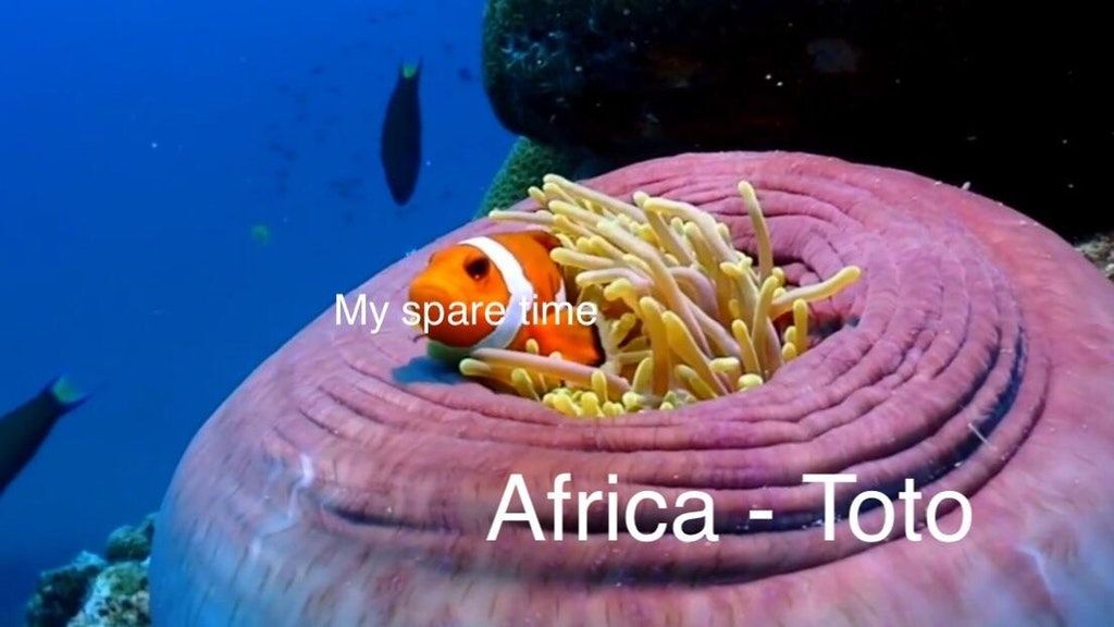My time is blessed