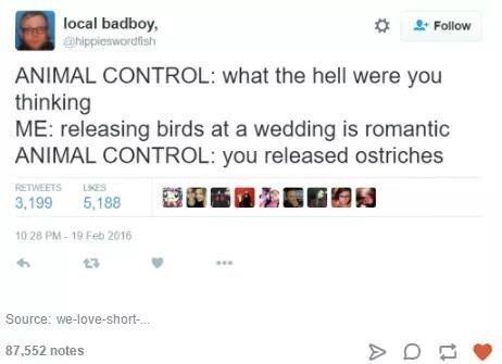 Could have been worse...
