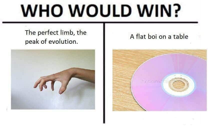 The weird claws don't help because the flat boi gets scratched so easily