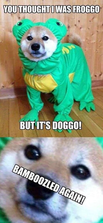gottem