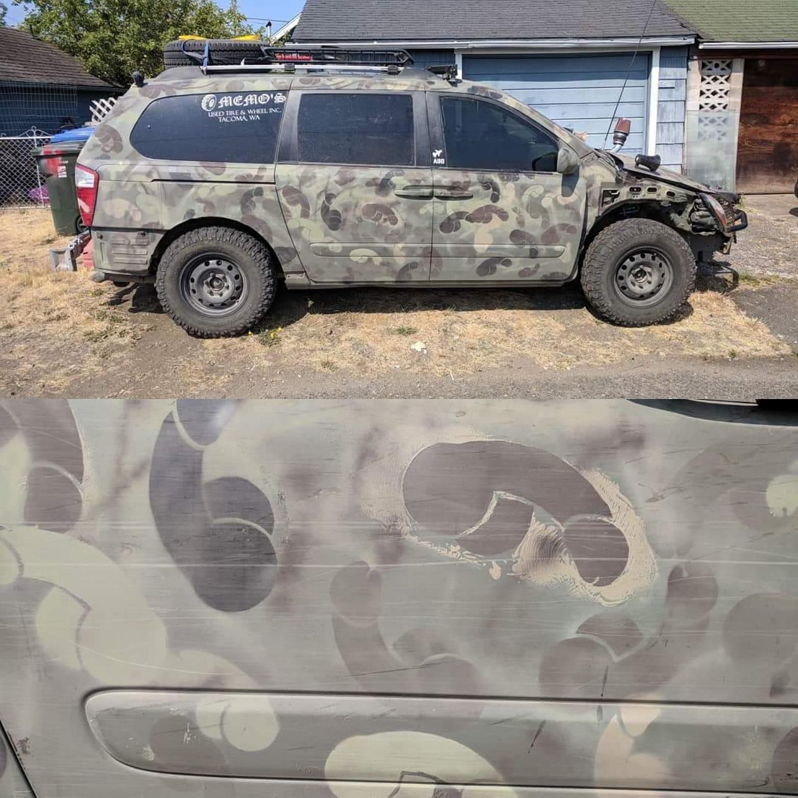 Interesting Camouflage