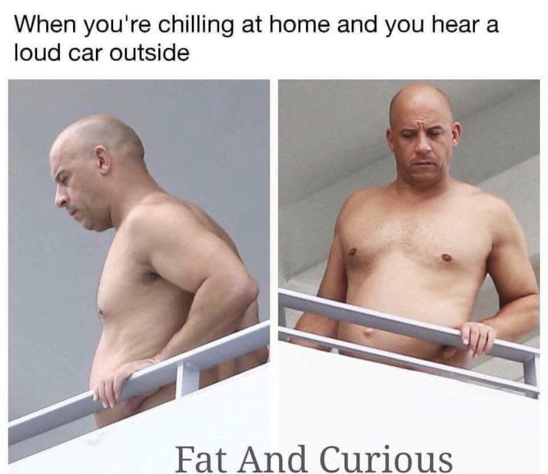 Fat & curious