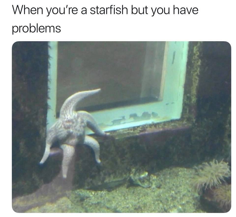 They always talk about starME but never about starYOU