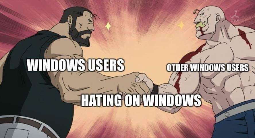 Windows best OS