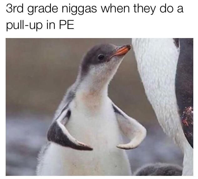 Am stronk now