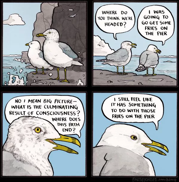 The philosophy of seagulls