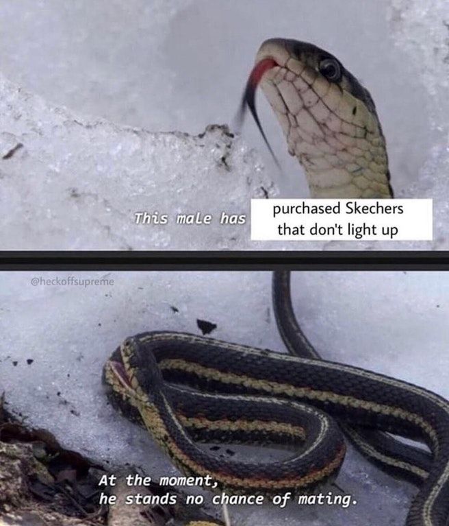 Title
