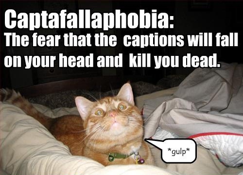 Poor kitteh!